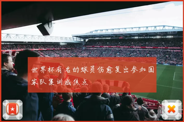 世界杯有名的球员伤愈复出参加国家队集训成焦点