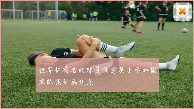 世界杯有名的球员伤愈复出参加国家队集训成焦点