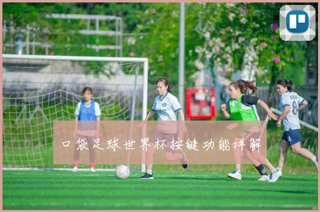 口袋足球世界杯按键功能详解