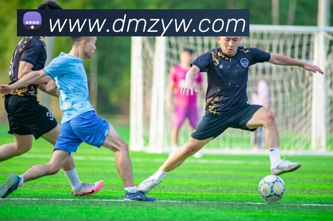 EMC易倍(官方网站)中国大陆 - 科技有限公司发展历程